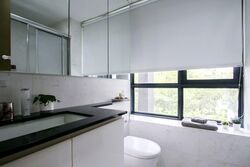The Trizon (D10), Condominium #541016491